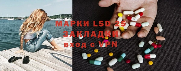 PSILOCYBIN Богородицк